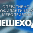 отделение Госавтоинспекции МО МВД России «Рославлський» информирует о проведении оперативно профилактического мероприятия «Пешеход» с 10 по 15 марта - фото - 1 - Шумячский район