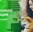 электронную квитанцию получил – через цифровые сервисы оплатил - фото - 1 - Шумячский район