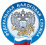 о завершении декларационной кампании напомнили слушателям вебинара - фото - 1 - Шумячский район